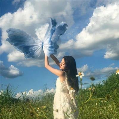 犯罪总动员